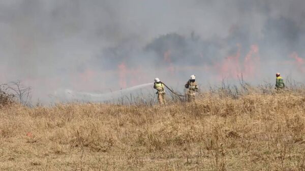В Темрюкском районе тушат природный пожар