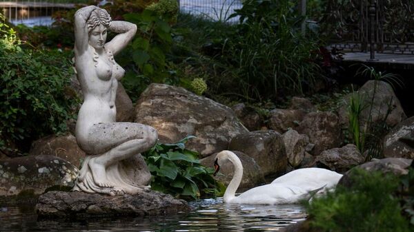 Лебедь около парковой скульптуры на пруду
