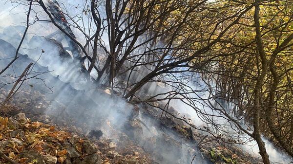 Тушение лесного пожара в районе горы Бойко в Бахчисарайском районе Крыма