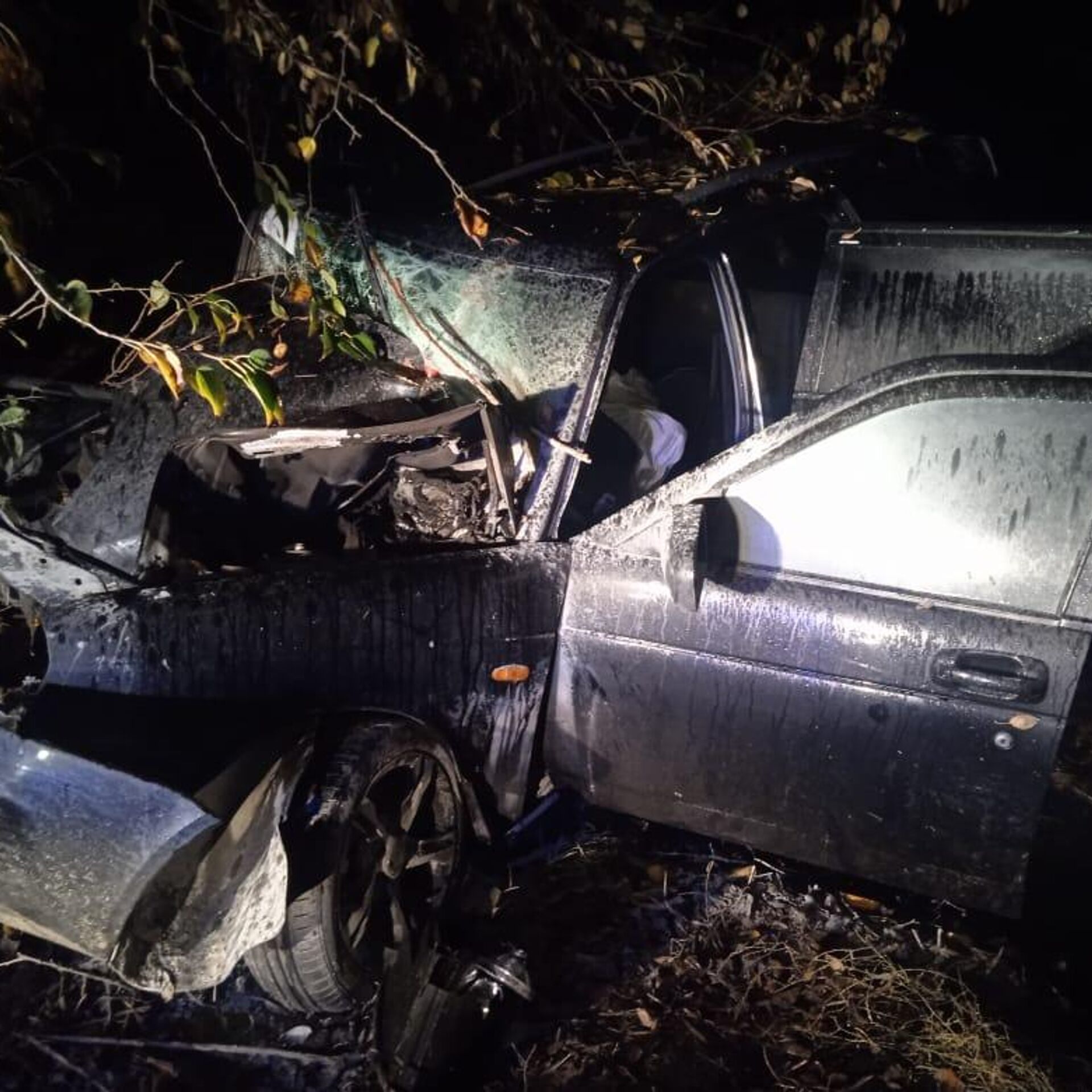 Водитель Lada слетел в кювет и врезался в дерево в Коктебеле - РИА Новости  Крым, 16.11.2023