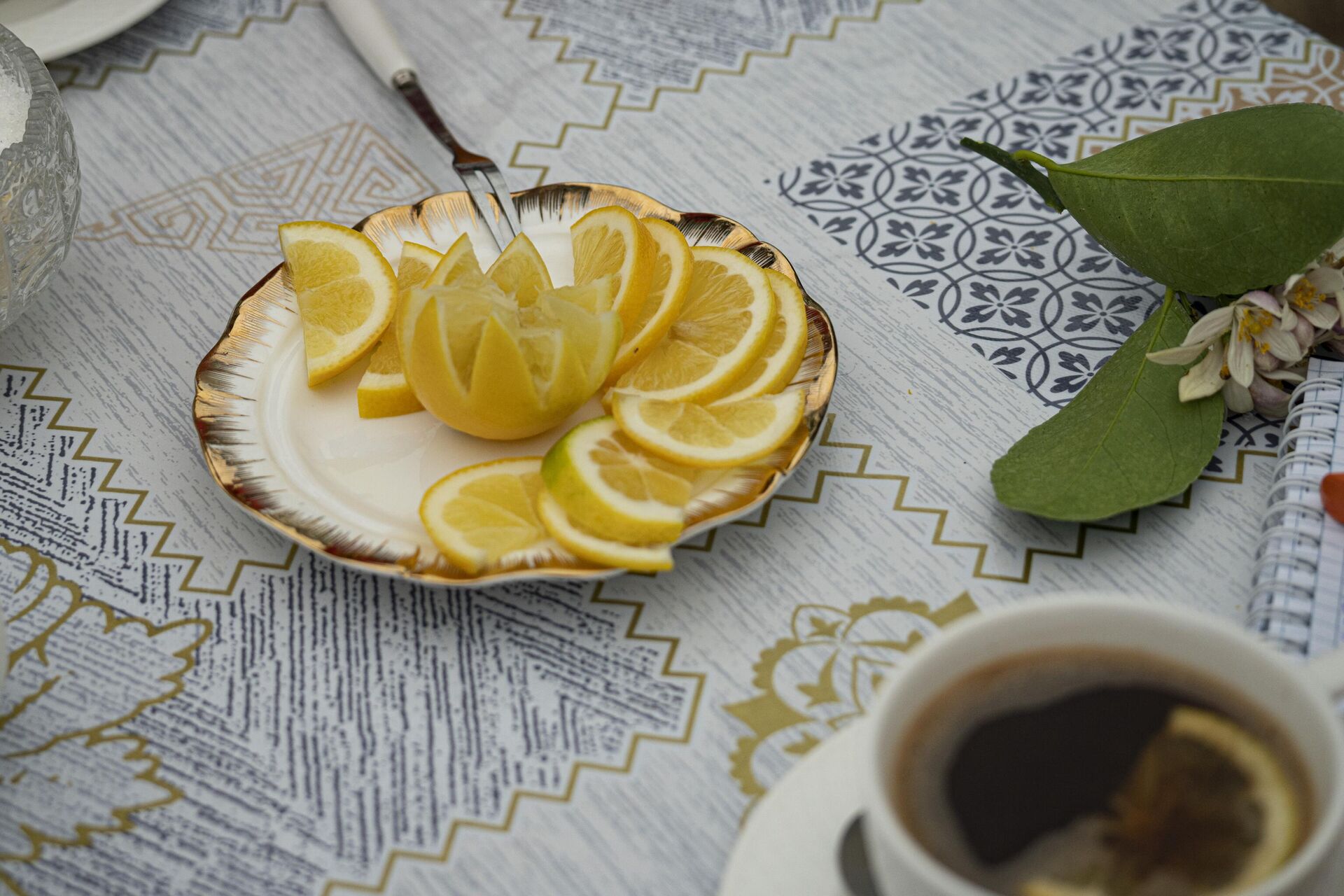 Вместо чая с лимоном в семье Усеиновых гостей угощают кофе - РИА Новости, 1920, 18.11.2023