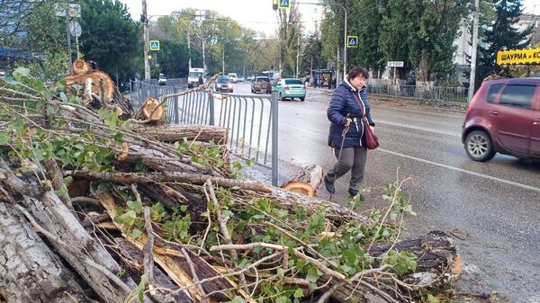 Последствия стихии в Севастополе