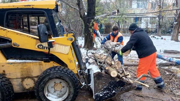 Коммунальщики убирают рухнувшие деревья в Симферополе