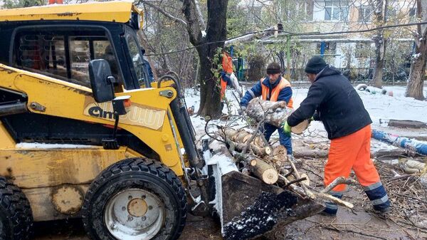 Коммунальщики убирают рухнувшие деревья в Симферополе