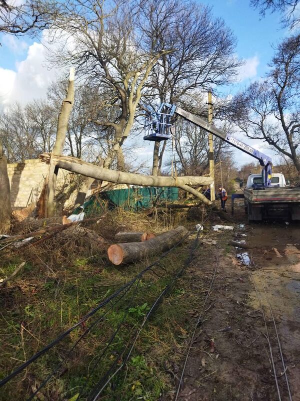 В Черноморском ураганный ветер со скоростью 144 км в час валил огромные деревья