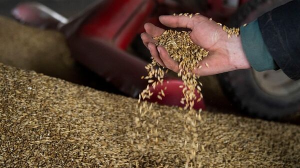 Аграрии новых регионов получают сертификаты качества зерна