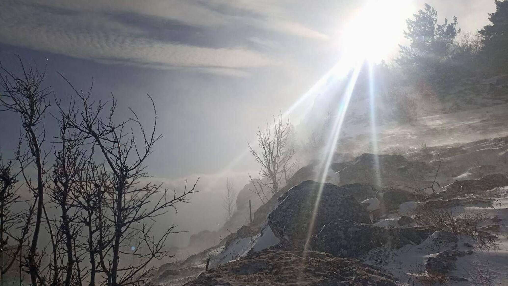 Погода на март в алуште 2024 года