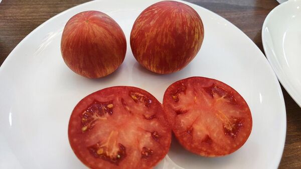 Новый сорт помидоров - розовоплодный полосатый томат с персиковым опушением