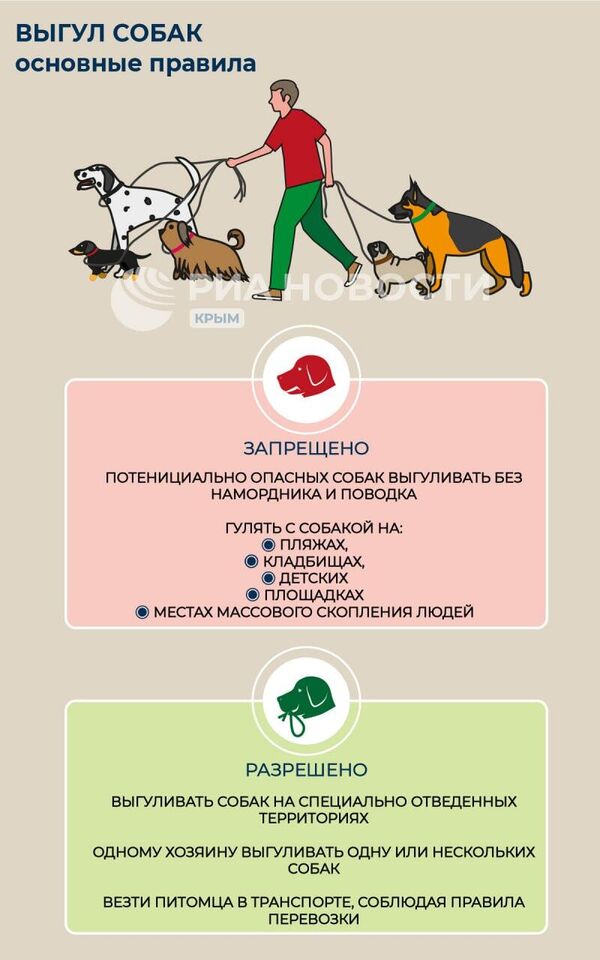 Правила выгула собак в петербурге. Правила выгула собак в петербурге