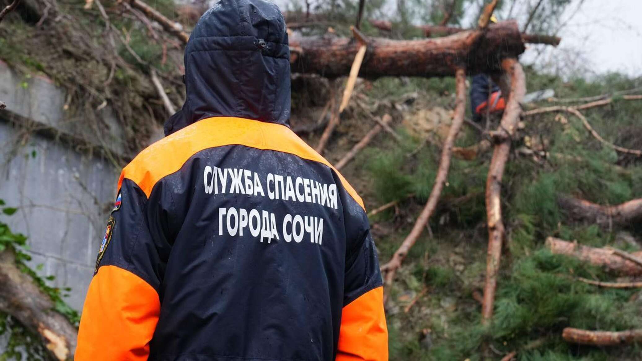 Сочи под ударом стихи - последствия непогоды и прогноз - РИА Новости Крым,  05.02.2024