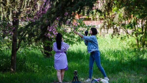 Фотосессии больше краж наносят ущерб Ботаническому саду в Симферополе