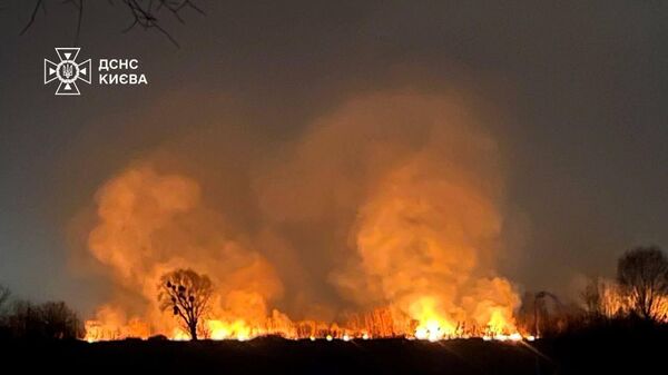Масштабный пожар под Киевом