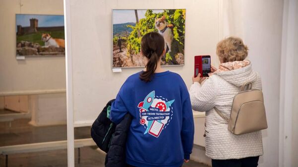 Кот Мостик открыл персональную фотовыставку в Евпатории