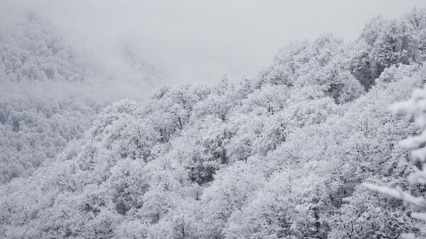Снег в горах Сочи