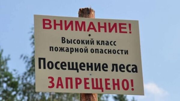 В Крыму ввели запрет на посещение лесов