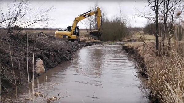 Кадр видео строительства рва в Ровенской области на границе Украины и Белоруссии