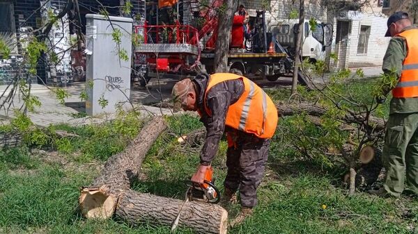 Сильный ветер в Феодосии привел к обрывам электропроводов и падению деревьев