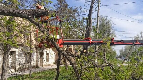 Сильный ветер в Феодосии привел к обрывам электропроводов и падению деревьев