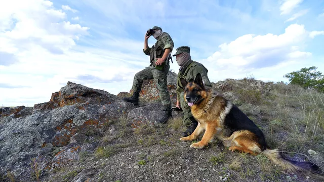 https://cdnn1.img.crimea.ria.ru/img/07e8/04/14/1136719037_0:35:3190:1829_640x0_80_0_0_a703684b1e5db9d013a9ca3e0f3c67cc.jpg.webp