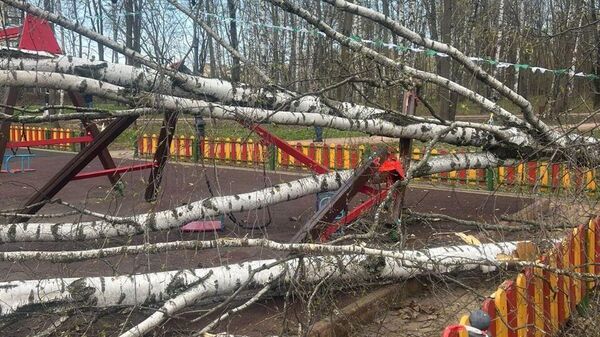 В Подмосковье дерево упало на трехлетнюю девочку на детской площадке