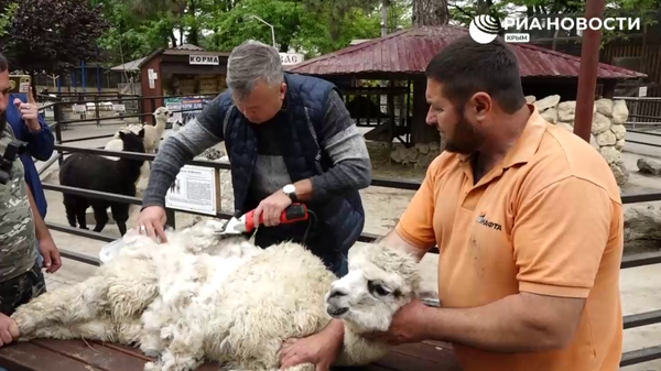 Экзотические животные в Крыму готовятся к летнему туристическому сезону