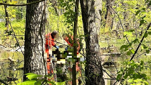 В лесополосе в Москве нашли тело 13-летней девочки