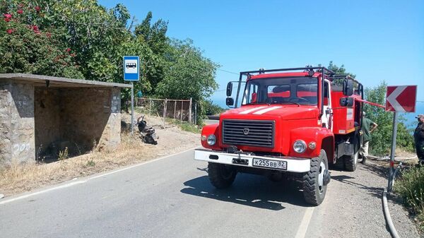 Пожар в лесу Крыма