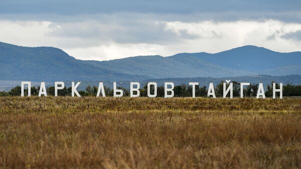 В сафари-парке в Крыму поселились зебры с новых территорий