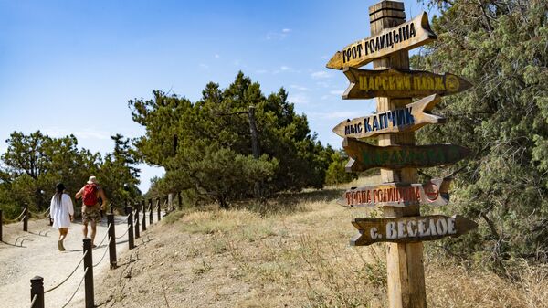 Указатели в можжевеловой роще в Новом Свете Указатели в можжевеловой роще в Новом Свете