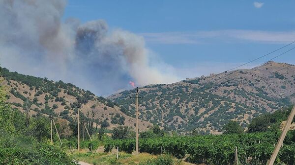 Пожар в горах возле Судака