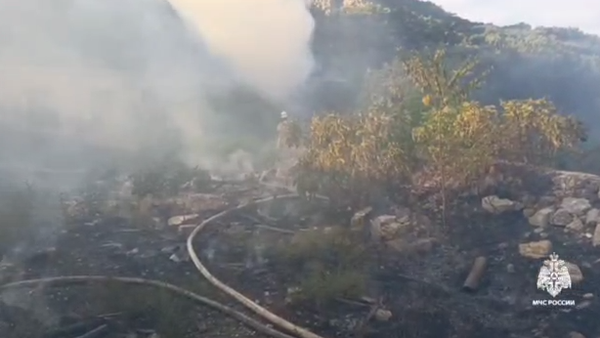В Алупке выгорело 1,5 гектара сухой растительности
