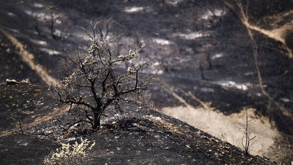 Тушение лесного пожара на Карадаге