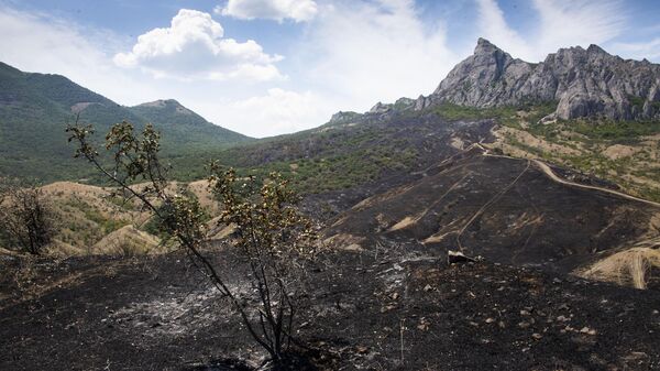 Тушение лесного пожара на Карадаге