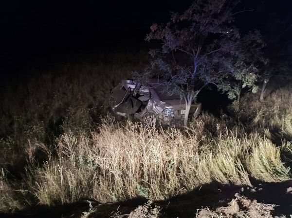 Трое детей пострадали при столкновении иномарки с деревом в Крыму
