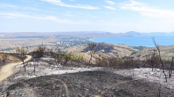 Последствия пожара на Карадаге в Крыму