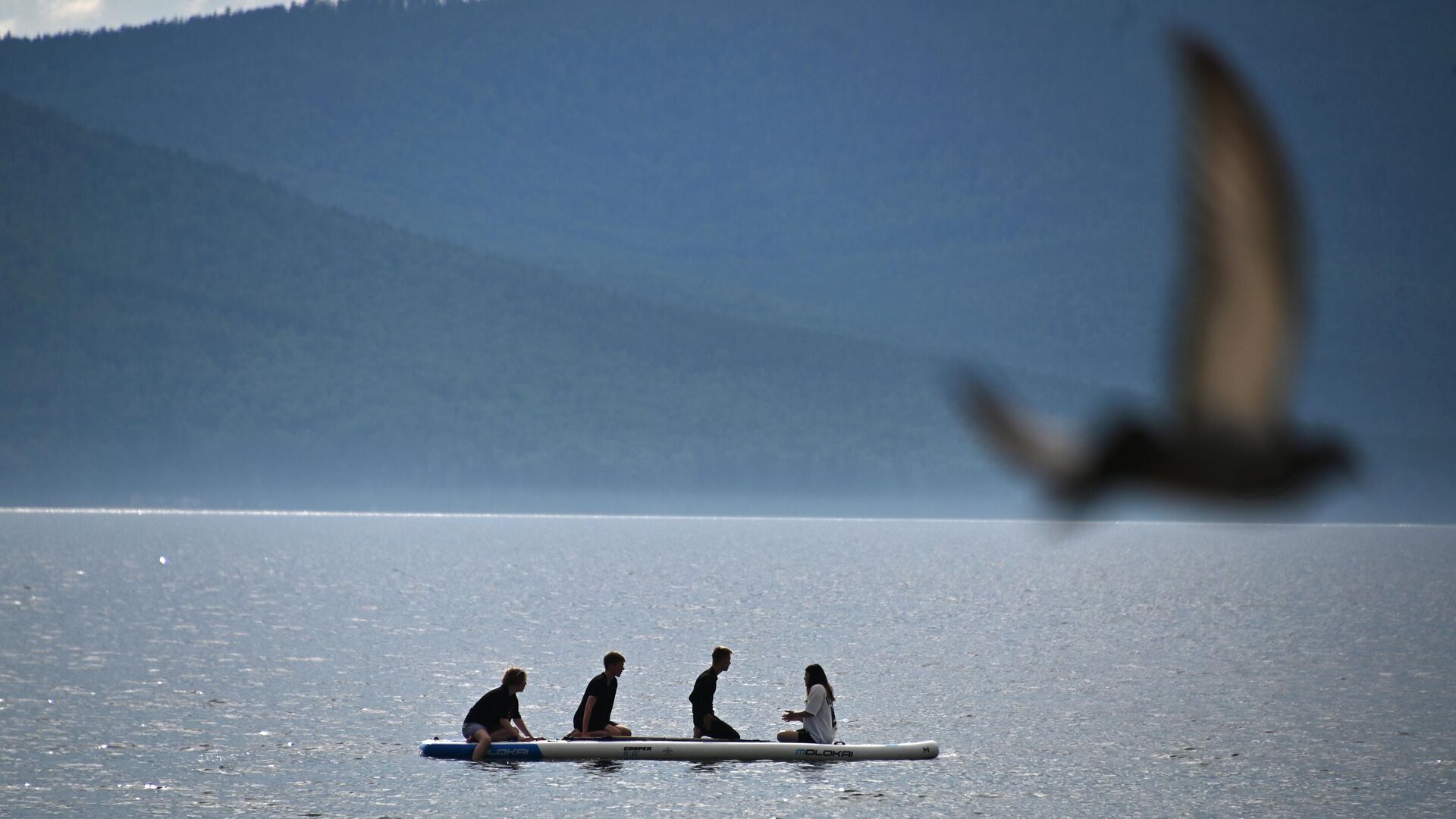 Люди плывут на сап-борде - РИА Новости, 1920, 16.07.2025