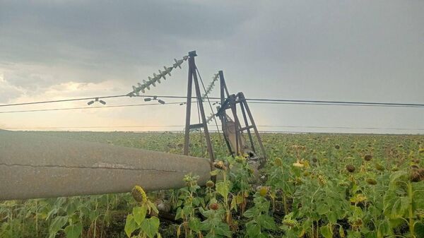 В Запорожской области ураганом повреждены ЛЭП