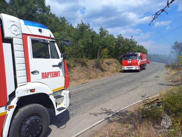 Пожар в Ялтинском горно-лесном заповеднике Пожар в Ялтинском горно-лесном заповеднике