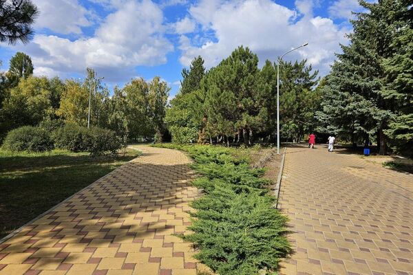 Благоустройство территории в Республиканской детской клинической больнице в Симферополе