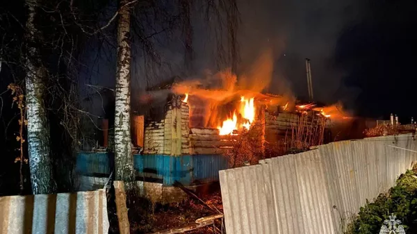 На пожаре в Брянской области погибли мать и двое детей 