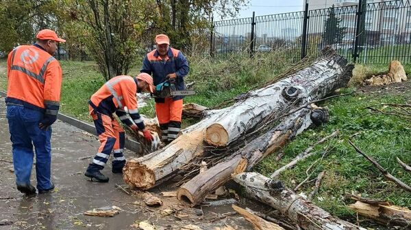 Последствия непогоды в Севастополе