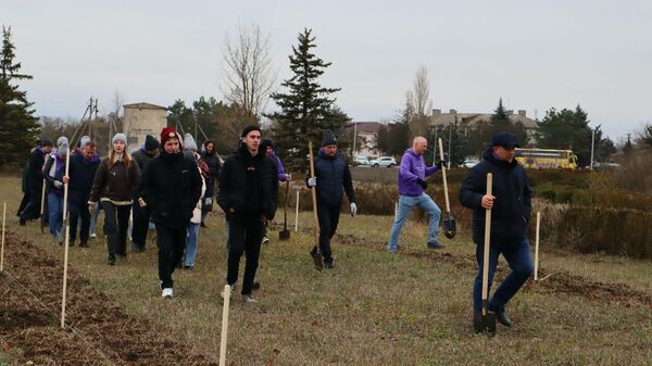 Аллею памяти погибшим в зоне СВО создали в Джанкойском районе Крыма