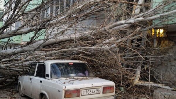 В Феодосии ветер повалил дерево на машины и дом