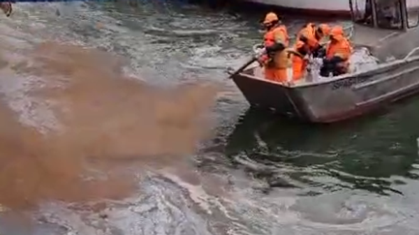 В водах Дона нашли растворитель лакокрасочных изделий для покраски судов