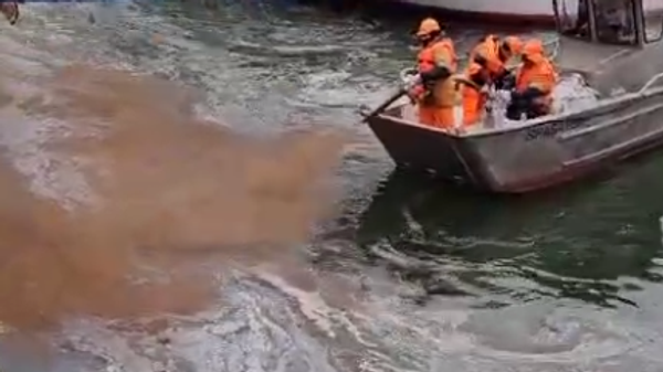 В водах Дона нашли растворитель лакокрасочных изделий для покраски судов