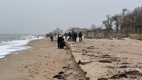 Мониторинг экологической ситуации в прибрежных зонах Азовского моря