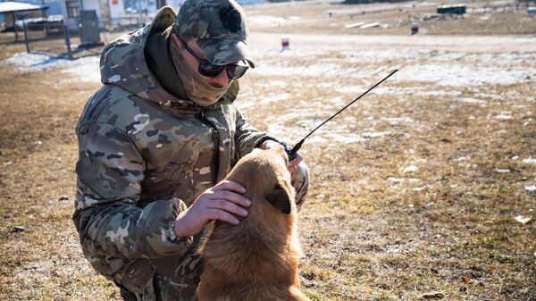 Боец ВС РФ