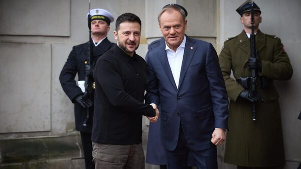 Владимир Зеленский и премьер-министр Польши Дональд Туск