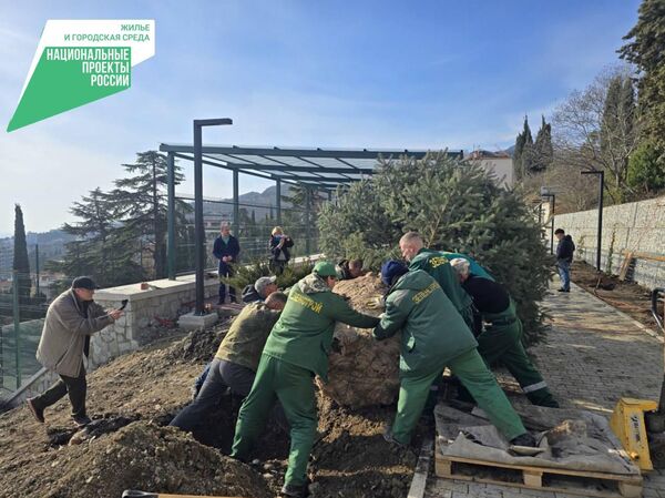 Озеленение Ялты