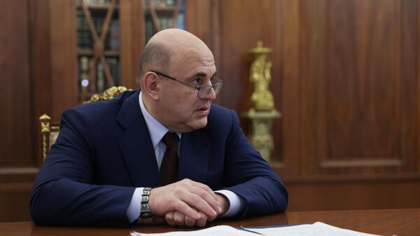 Председатель правительства РФ Михаил Мишустин во время встречи с президентом РФ Владимиром Путиным.